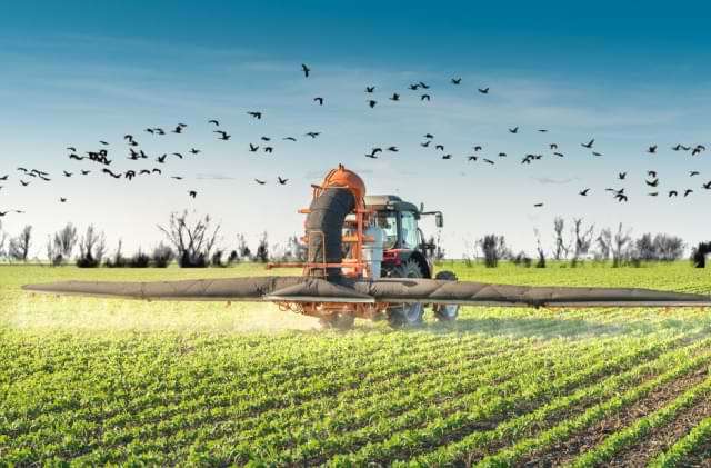 Read more about the article Pesticides: No.1 Balancing Agriculture and Environmental