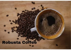 Read more about the article Robusta Coffee Benefits – The No.1 Advantages of Coffee Bean