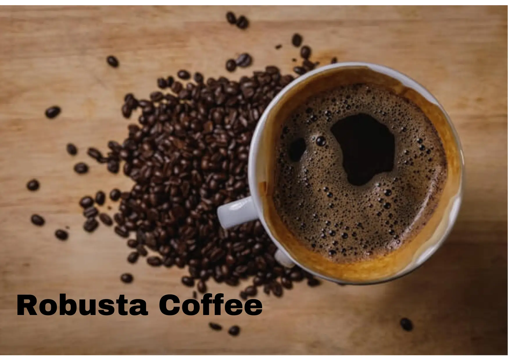 You are currently viewing Robusta Coffee Benefits – The No.1 Advantages of Coffee Bean