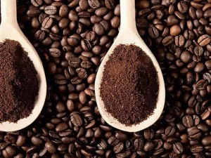 Read more about the article Robusta Coffee – The Best Coffee in the Philippines