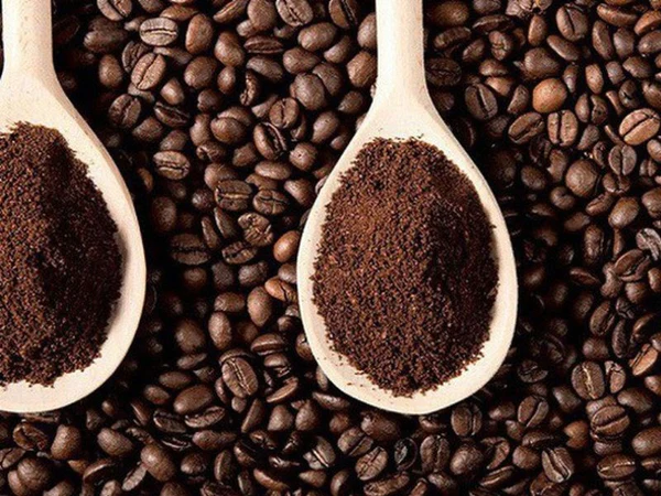 You are currently viewing Robusta Coffee – The Best Coffee in the Philippines
