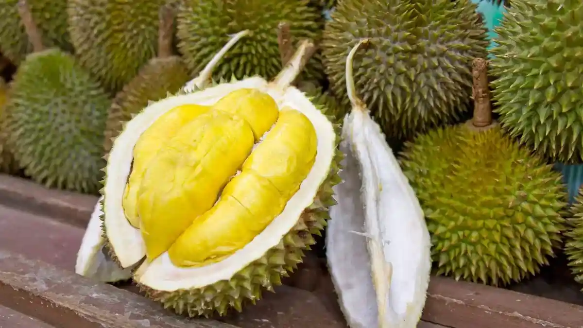 Read more about the article Durian Delights: Exploring the Health Benefits of the King of Fruits