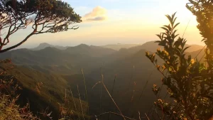Read more about the article Mount Hamiguitan- Davao Oriental Top Tourist Destinations