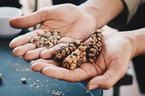 Civet Coffee Production