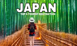 Read more about the article Discover Japan: A Comprehensive Guide to the Top 5 Tourist Destinations