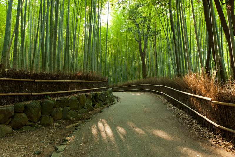 KYOTO
